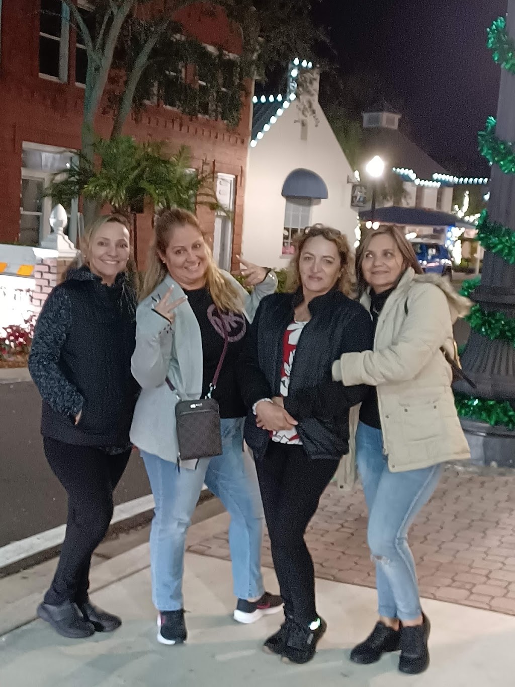 The Chicken Garden | restaurant | 456 Skinner Blvd, Dunedin, FL 34698, USA | 7276436345 OR +1 727-643-6345