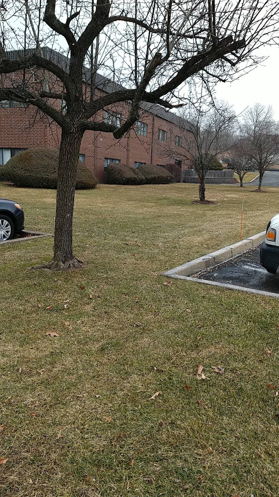 Dining Out Rockland | restaurant | 40 Ramland Rd S, Orangeburg, NY 10962, USA | 8453626737317 OR +1 845-362-6737 ext. 317