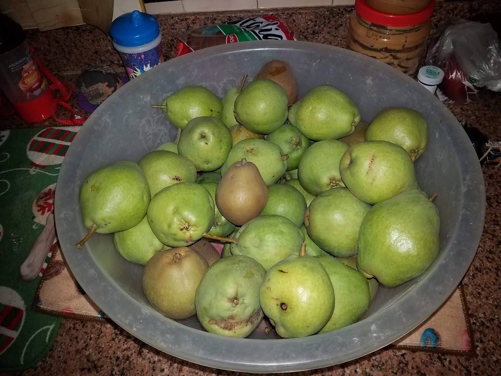 Annettis Pizzeria | restaurant | 4950 N Cumberland Ave, Norridge, IL 60706, USA | 7084561056 OR +1 708-456-1056