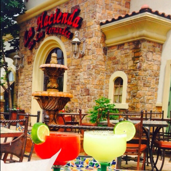 La Hacienda De Los Fernandez | restaurant | 21520 W Field Pkwy, Deer Park, IL 60010, USA | 8475509413 OR +1 847-550-9413