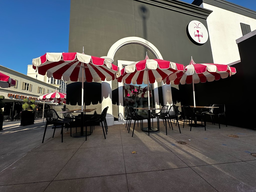 Trashy Dawg Huntsville | restaurant | 355 Bridge Street, Town Center #121, 365 The Bridge Street Northwest #117, Huntsville, AL 35806, USA | 9386003294 OR +1 938-600-3294