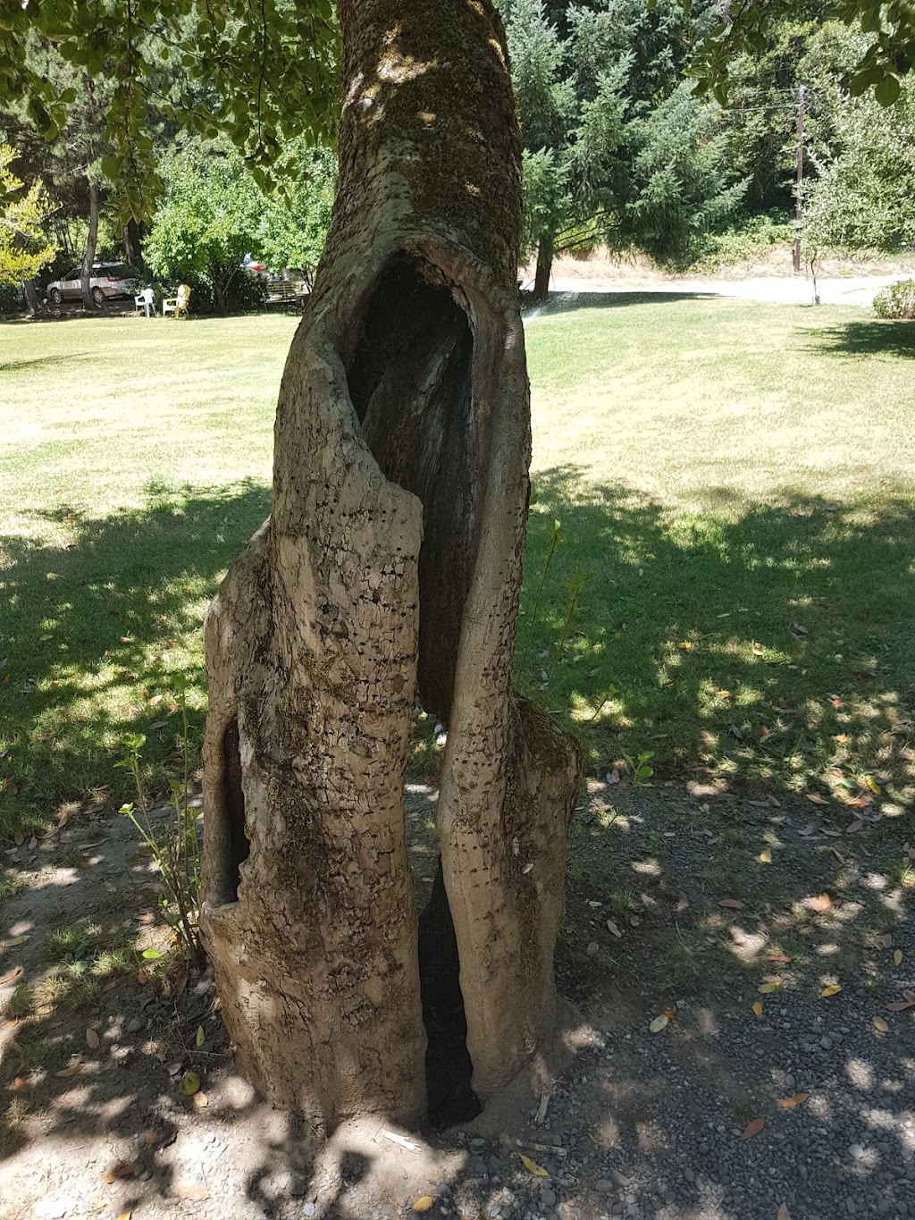 Singing Springs Resort | restaurant | 34501 Agness Illahe Rd, Agness, OR 97406, USA | 5412476162 OR +1 541-247-6162