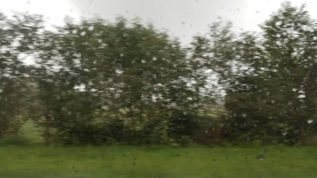 Foxs Pizza Den | restaurant | 10858 US-422, Shelocta, PA 15774, USA | 7243543698 OR +1 724-354-3698