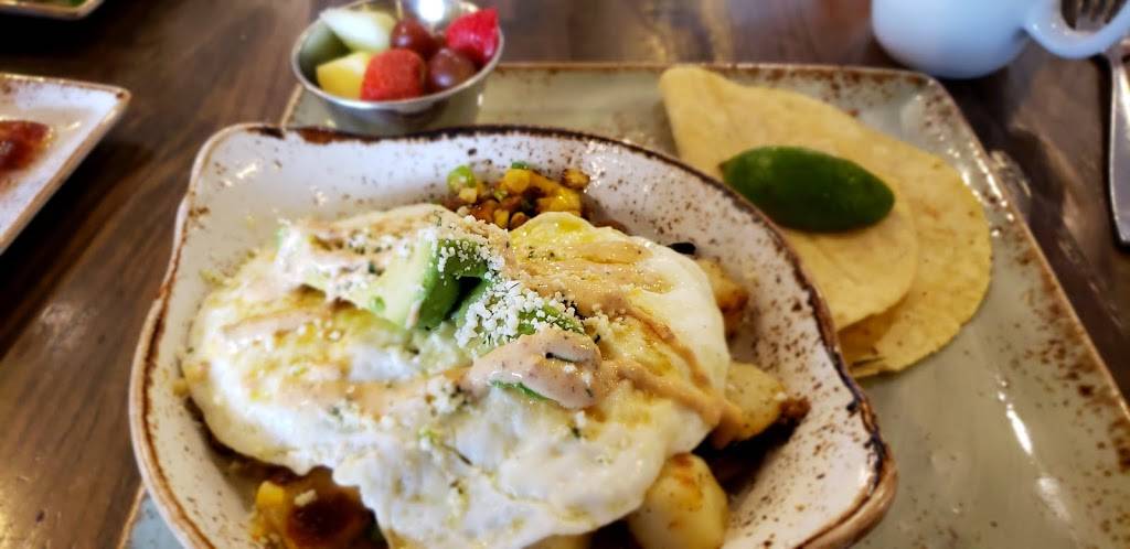 First Watch | restaurant | 3131 Custer Rd, Plano, TX 75075, USA | 9723128828 OR +1 972-312-8828