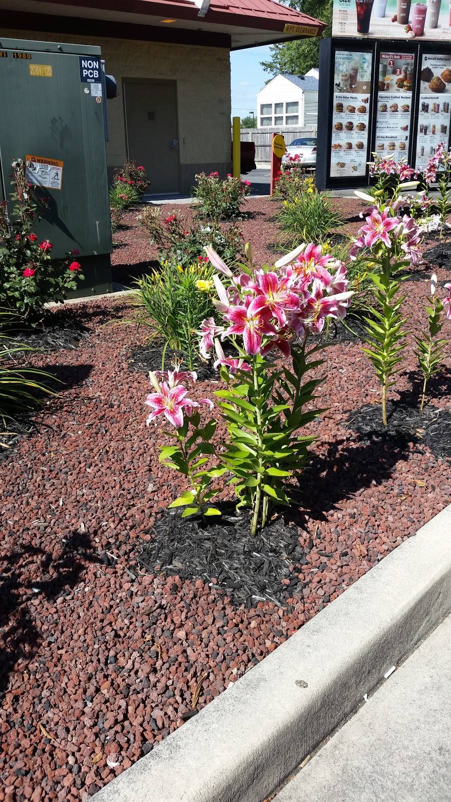 Windmill Grill | restaurant | 2335 W Sycamore St, Kokomo, IN 46901, USA | 7654521600 OR +1 765-452-1600