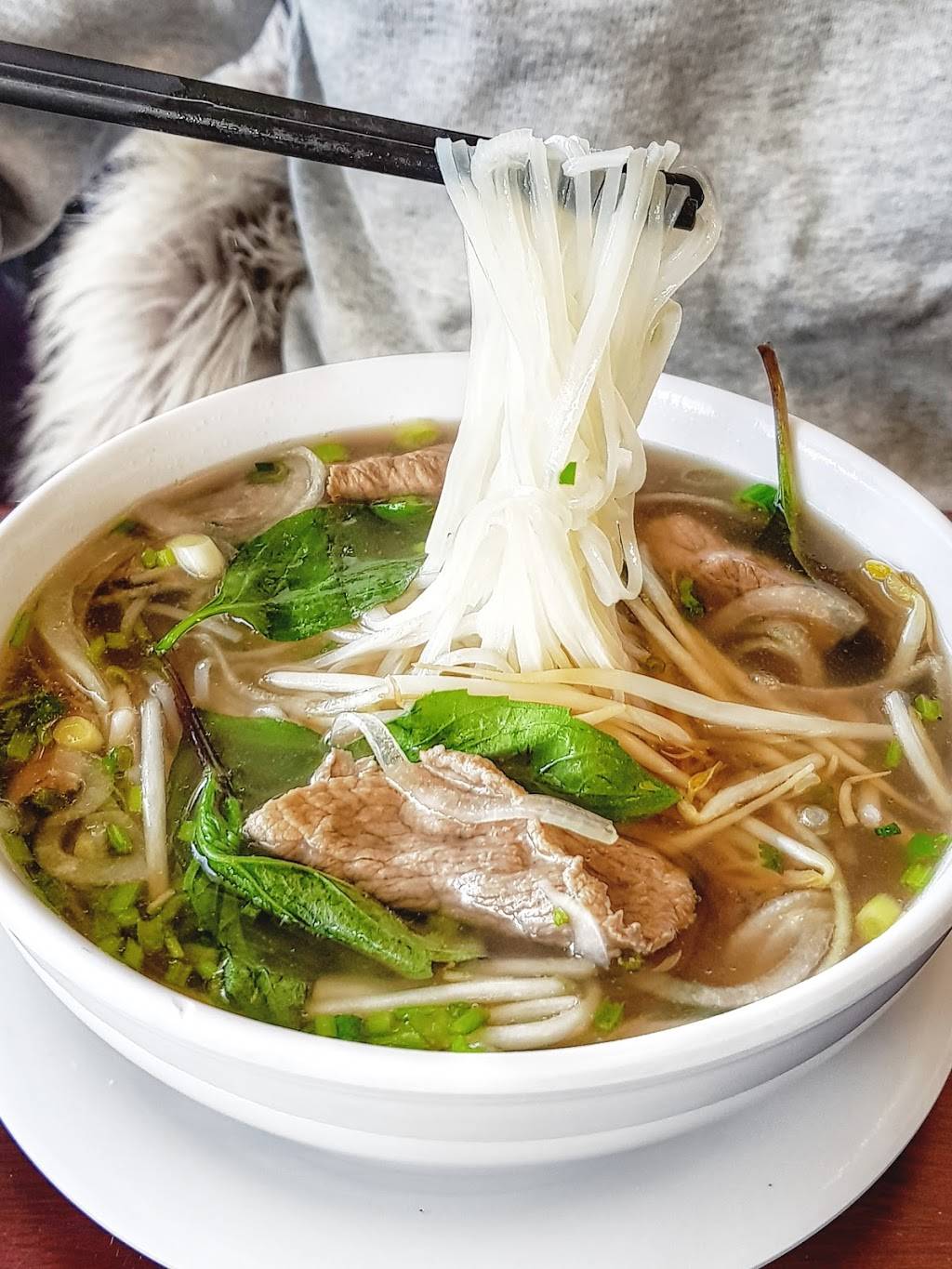 Pho Ha | restaurant | 1971 Bloomingdale Rd, Glendale Heights, IL 60139, USA | 6308944000 OR +1 630-894-4000