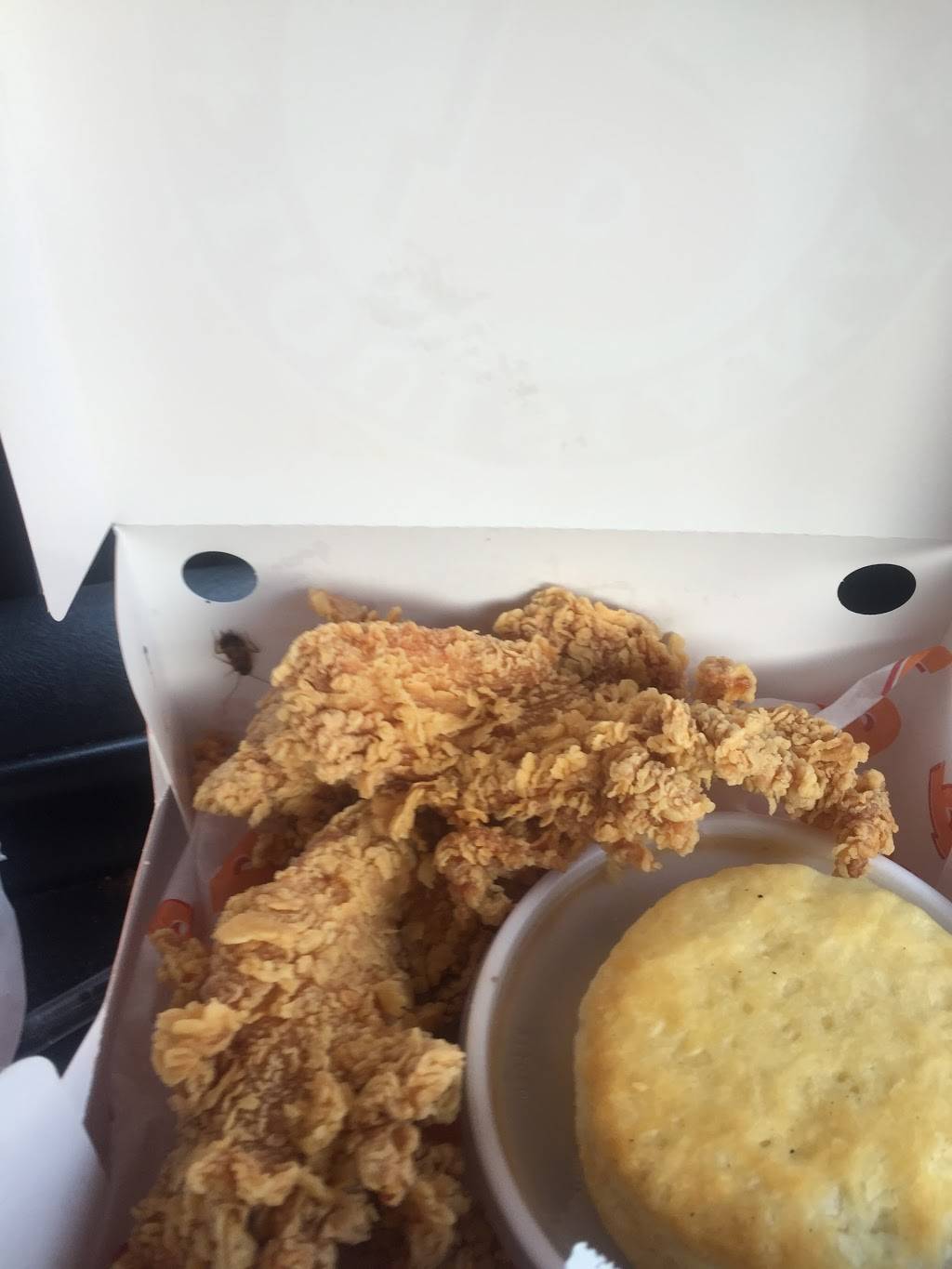 Popeyes Louisiana Kitchen | restaurant | 2210 E Plaza Blvd, National City, CA 91950, USA | 6194703002 OR +1 619-470-3002