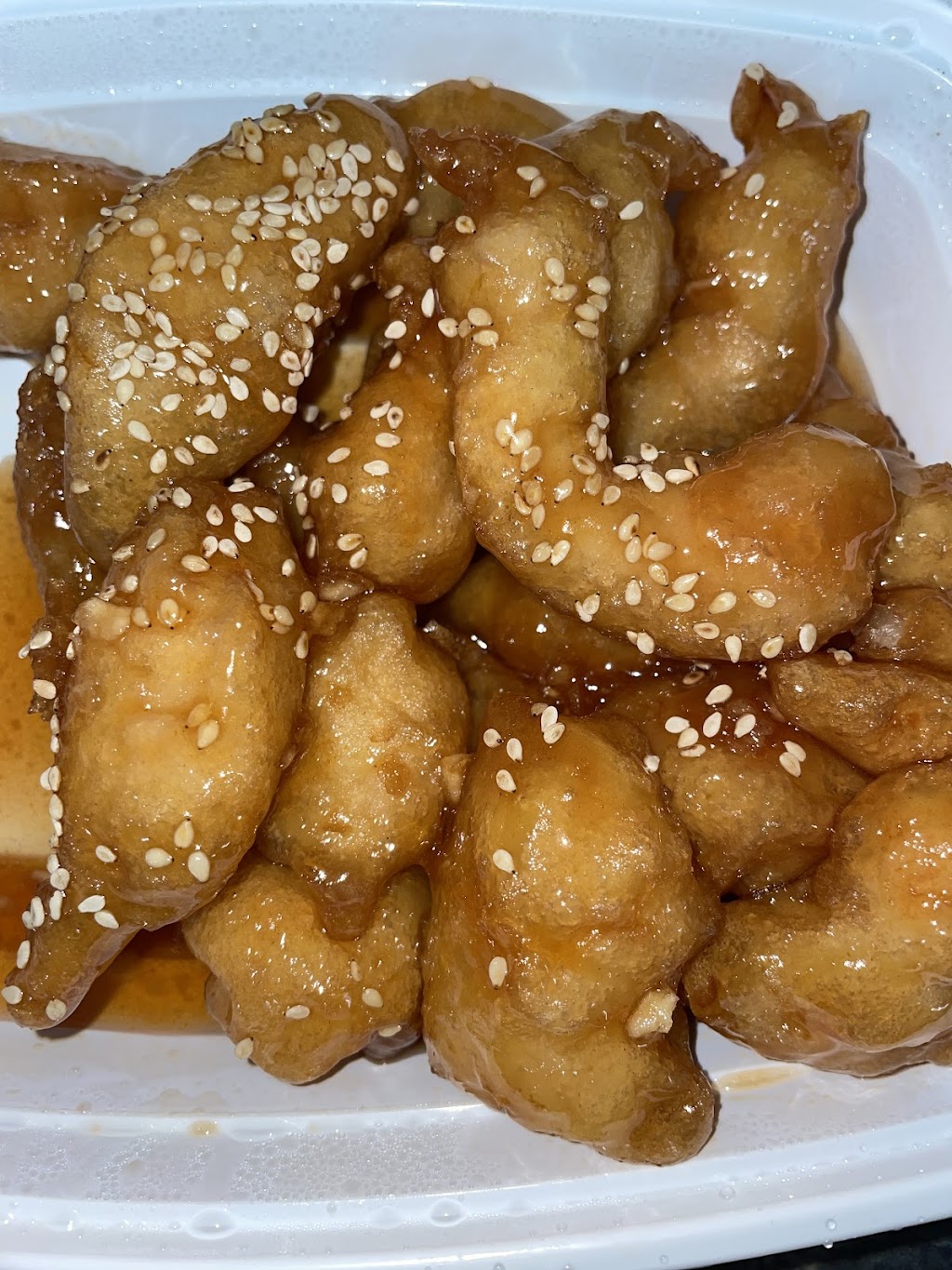 China Wok | restaurant | 8490 W Hillsborough Ave, Tampa, FL 33615, USA | 8139994010 OR +1 813-999-4010