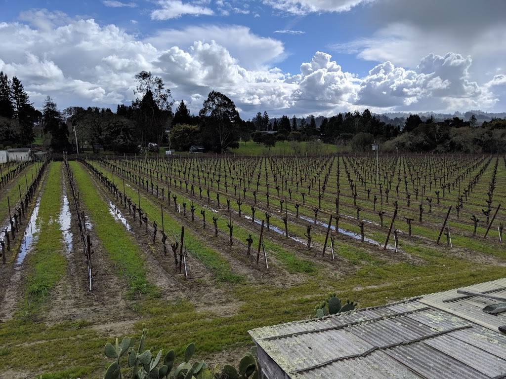 Cathys Corner | restaurant | 8063 Blackney Rd, Sebastopol, CA 95472, USA | 7072910645 OR +1 707-291-0645