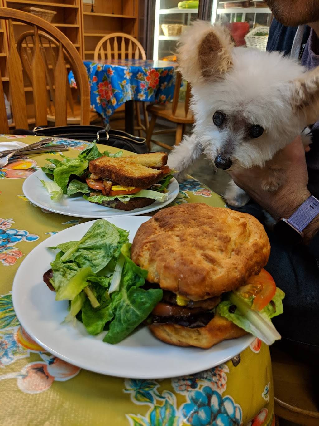 Farmers Kitchen Cafe at Natural Food Works | restaurant | 624 4th St, Davis, CA 95616, USA | 5307561862 OR +1 530-756-1862