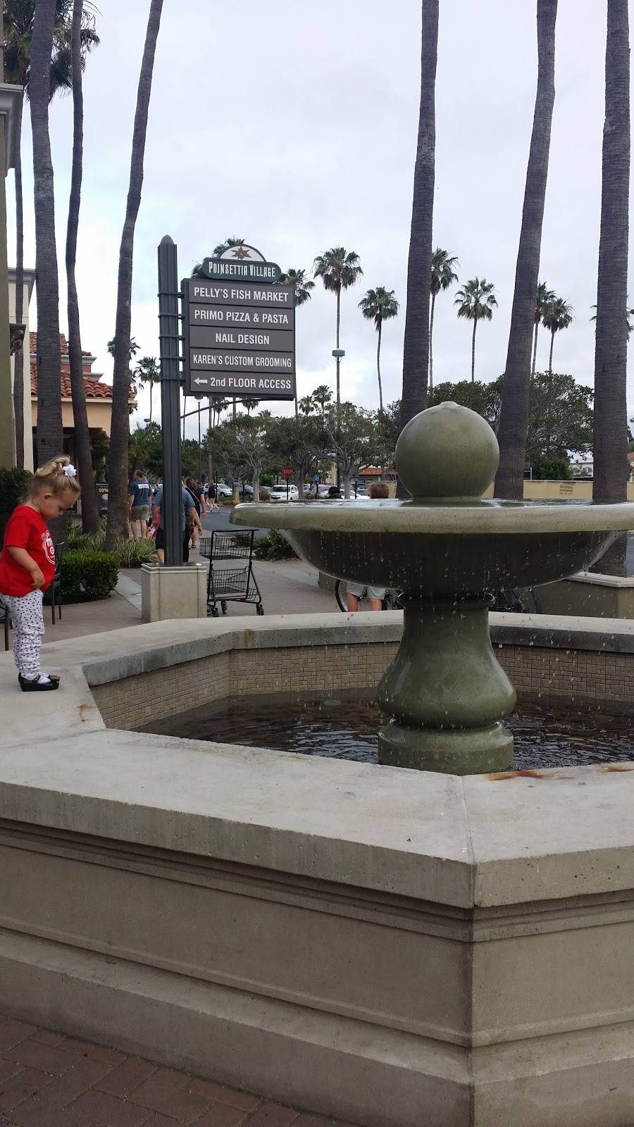 Subway | restaurant | 7110 Avenida Encinas Suite 100 Poinsettia Villlage, Carlsbad, CA 92011, USA | 7604769907 OR +1 760-476-9907