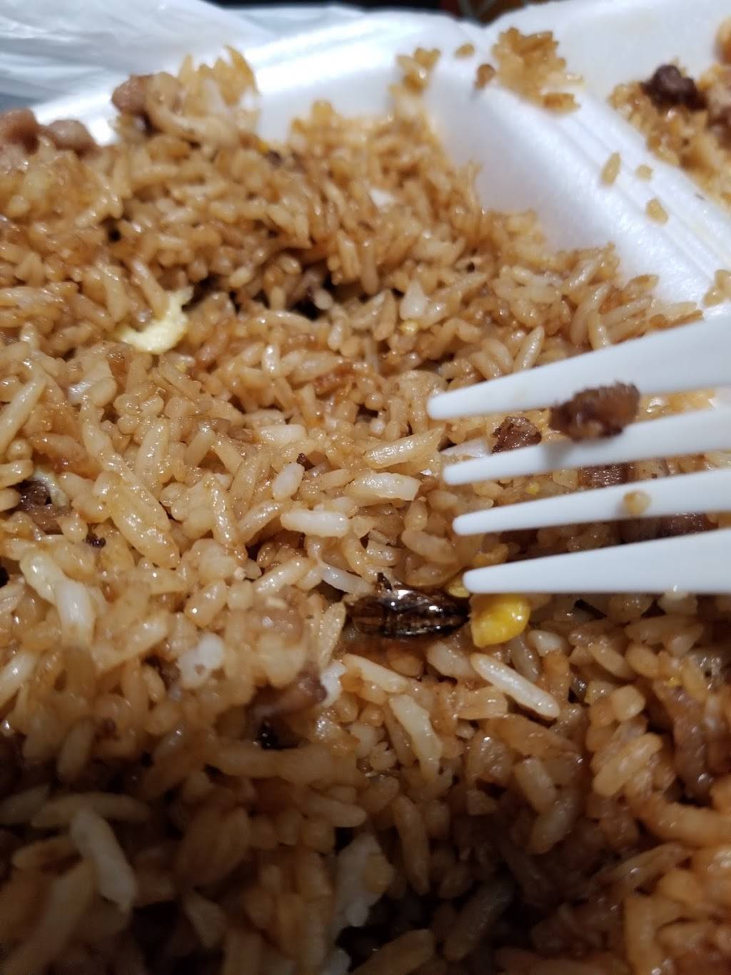 Eggroll Express | restaurant | 14050 Peyton Dr, Dallas, TX 75240, USA | 9723868083 OR +1 972-386-8083