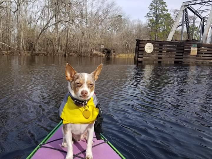 Don Tortaco Mexican Grill | restaurant | 7455 S Eastern Ave, Las Vegas, NV 89123, USA | 7024313988 OR +1 702-431-3988