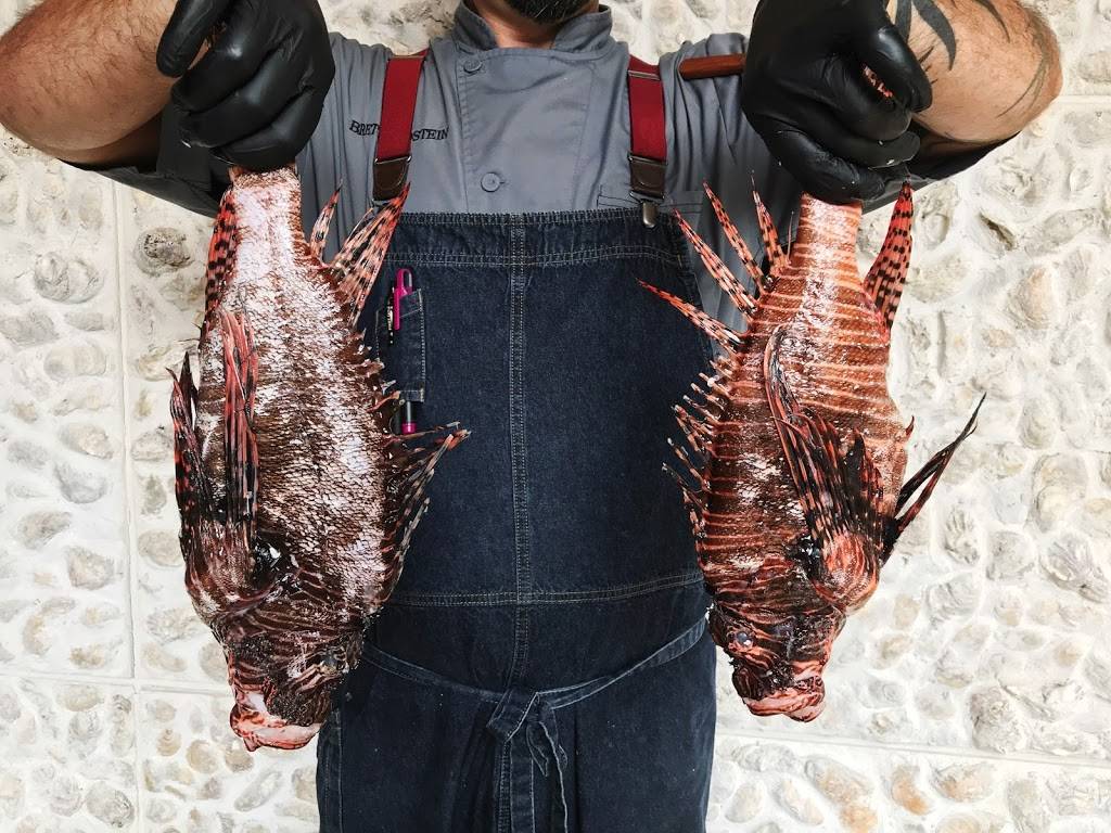 Sea Level NC | restaurant | 129 E 5th St, Charlotte, NC 28202, USA | 7044122616 OR +1 704-412-2616