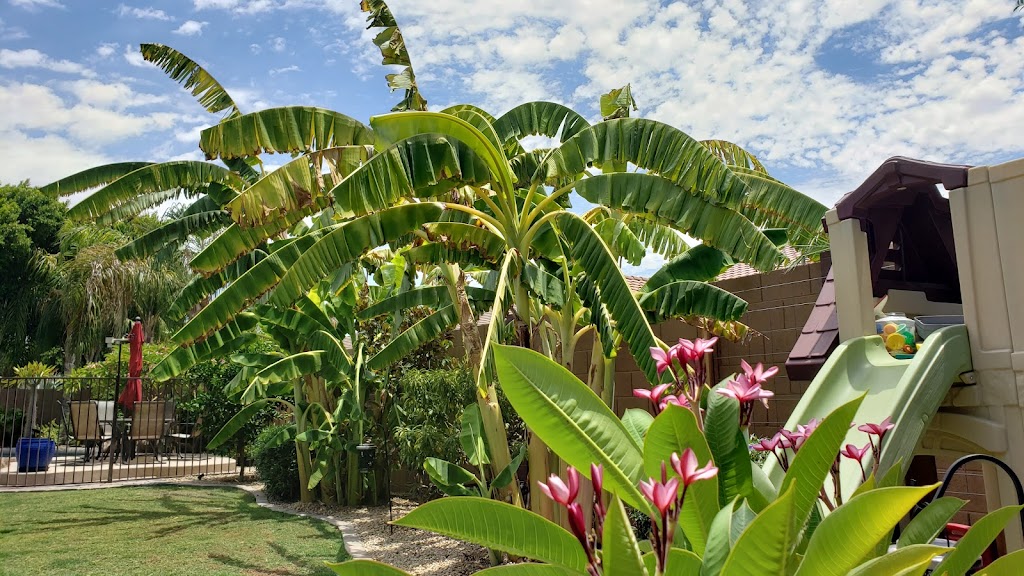 Urban Hills Grow Bag Gardens | restaurant | 557 E Parkview Dr, Gilbert, AZ 85295, USA | 4804867380 OR +1 480-486-7380