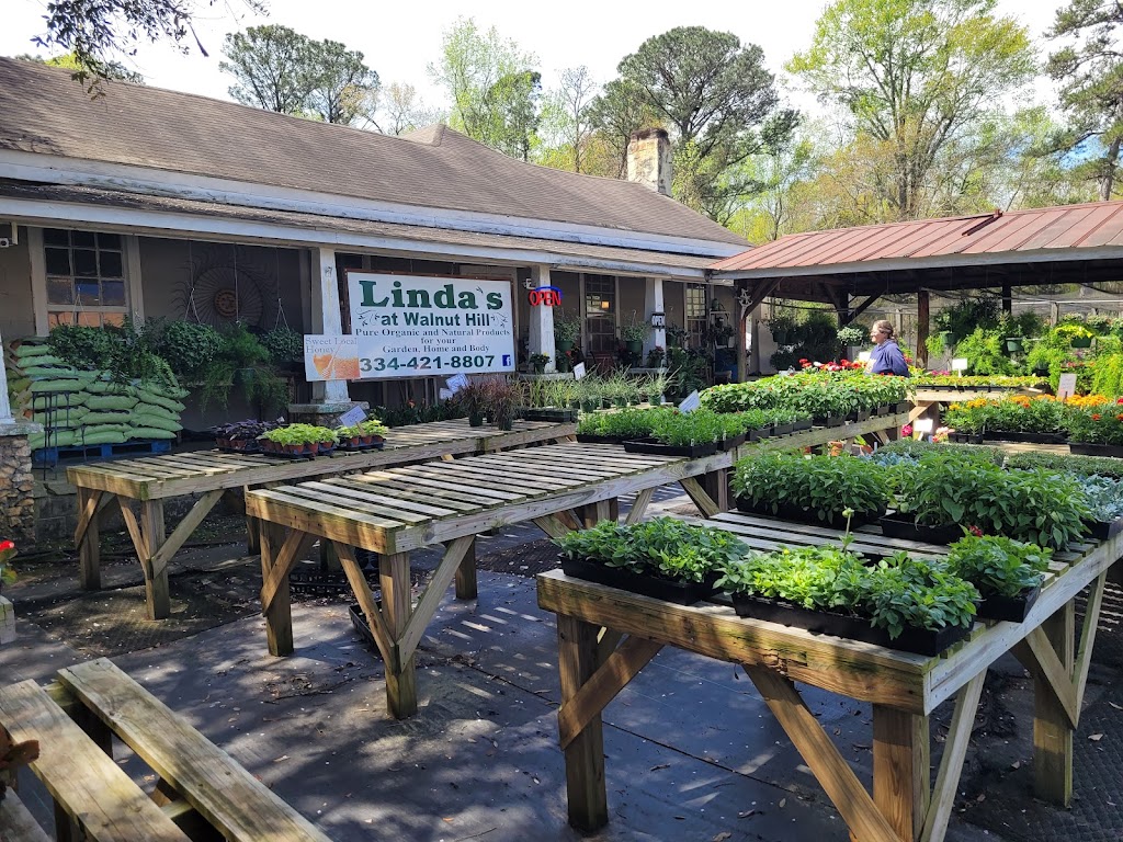 Walnut Hill Grocery Chevron | restaurant | 8605 AL-50, Dadeville, AL 36853, USA | 2563071933 OR +1 256-307-1933