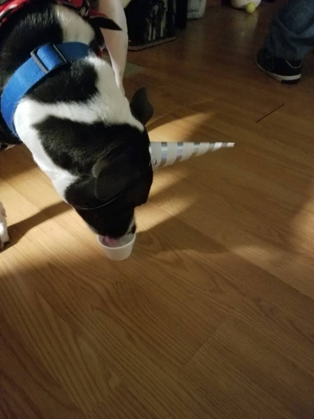 Dairy Queen Grill & Chill | restaurant | 912 Bellefonte Rd, Flatwoods, KY 41139, USA | 6068362831 OR +1 606-836-2831