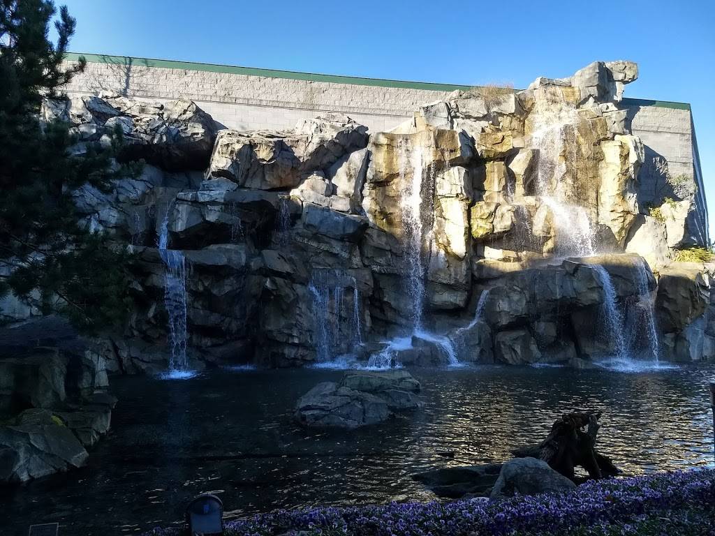 Eagles Buffet | restaurant | 10200 Quil Ceda Blvd, Tulalip, WA 98271, USA | 3607161462 OR +1 360-716-1462