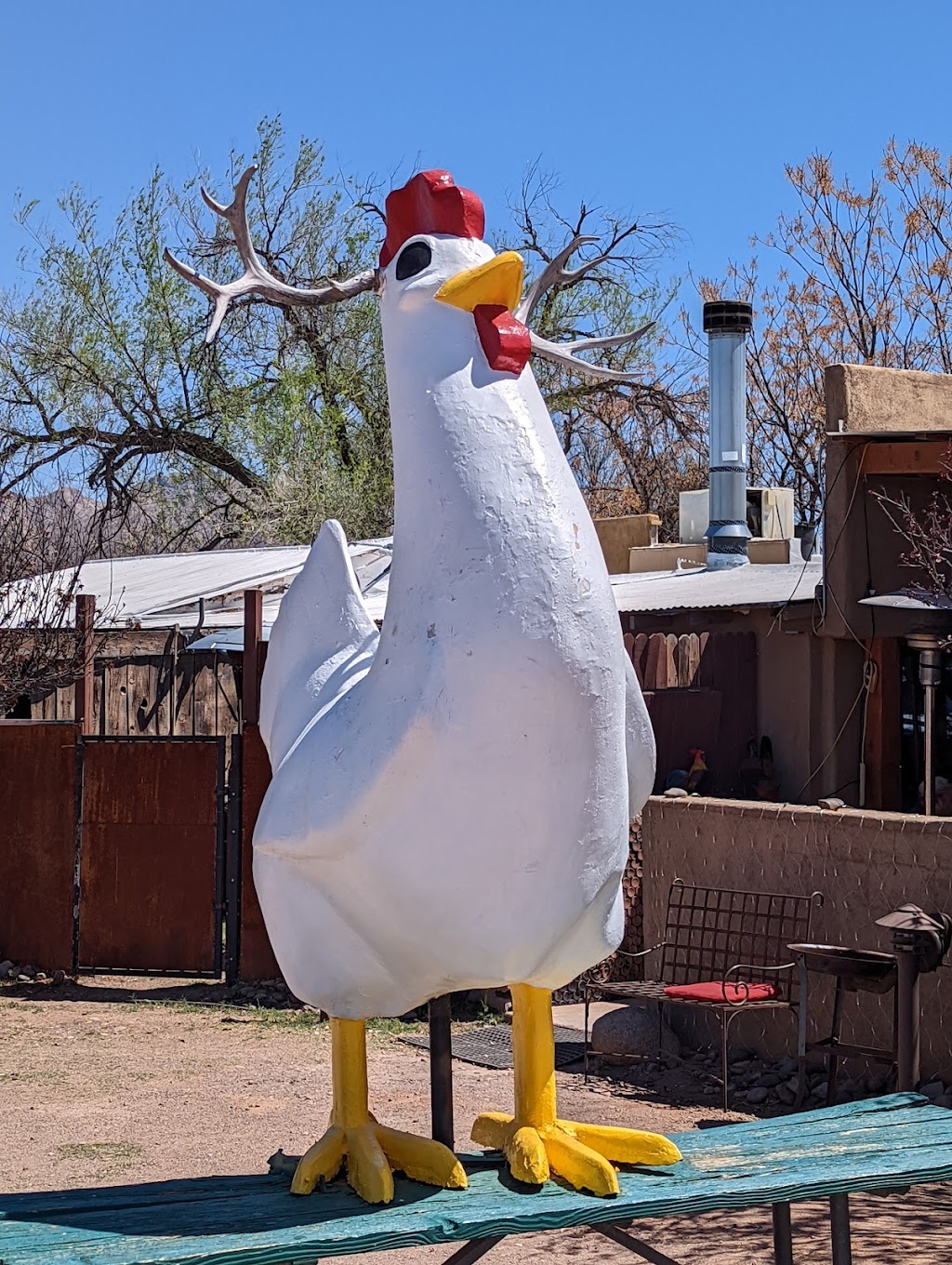 Wisdoms Cafe | restaurant | 1931 I-19 Frontage Rd, Tumacacori, AZ 85640, USA | 5203982397 OR +1 520-398-2397