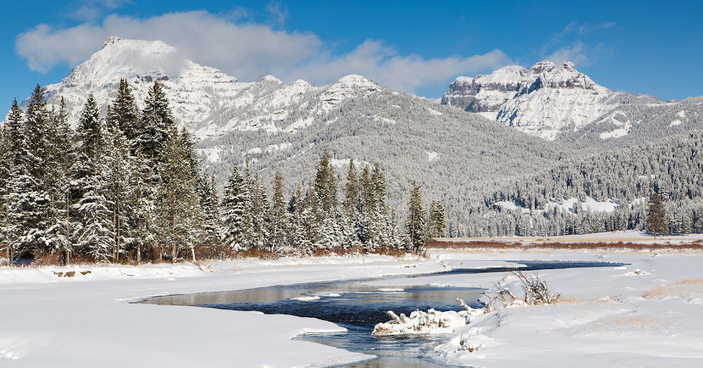 Mc Gees Bar & Grill | restaurant | 1112 State St, Madison, IL 62060, USA | 6184523080 OR +1 618-452-3080