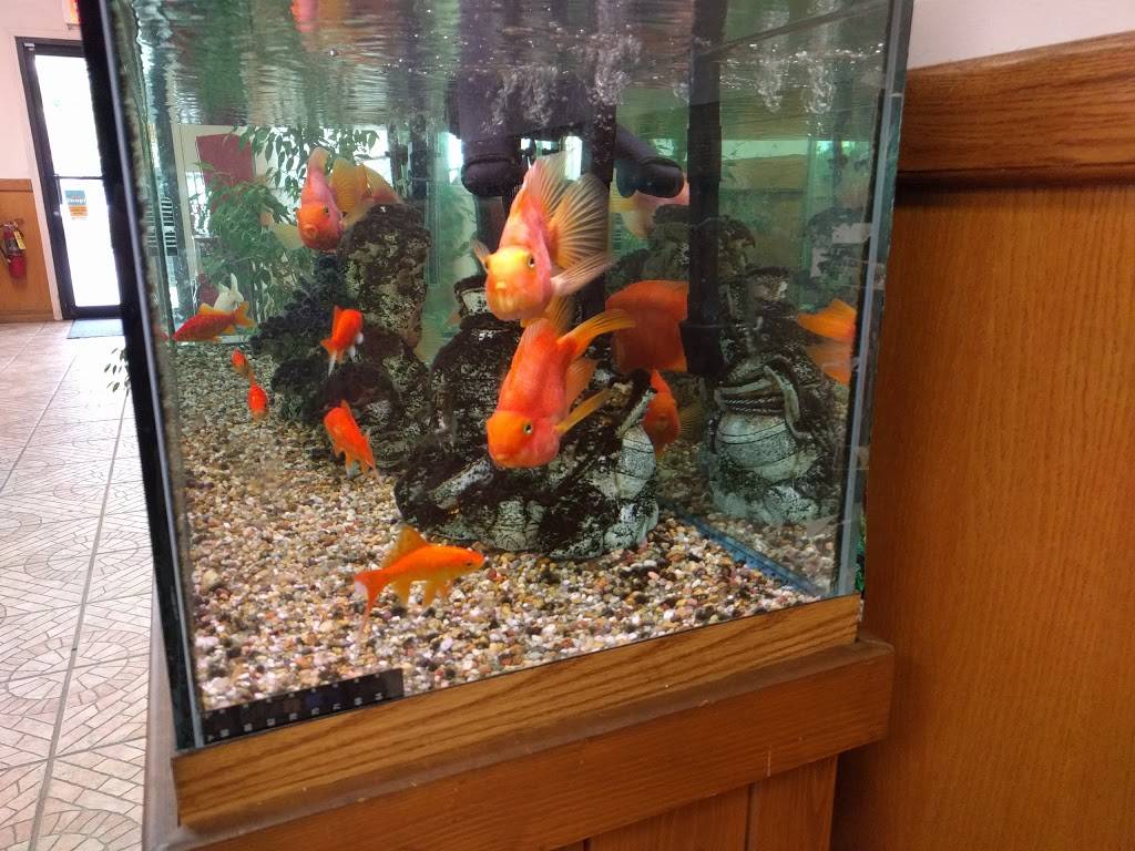 Asia House | restaurant | 3074 N Water St, Decatur, IL 62526, USA | 2178757900 OR +1 217-875-7900