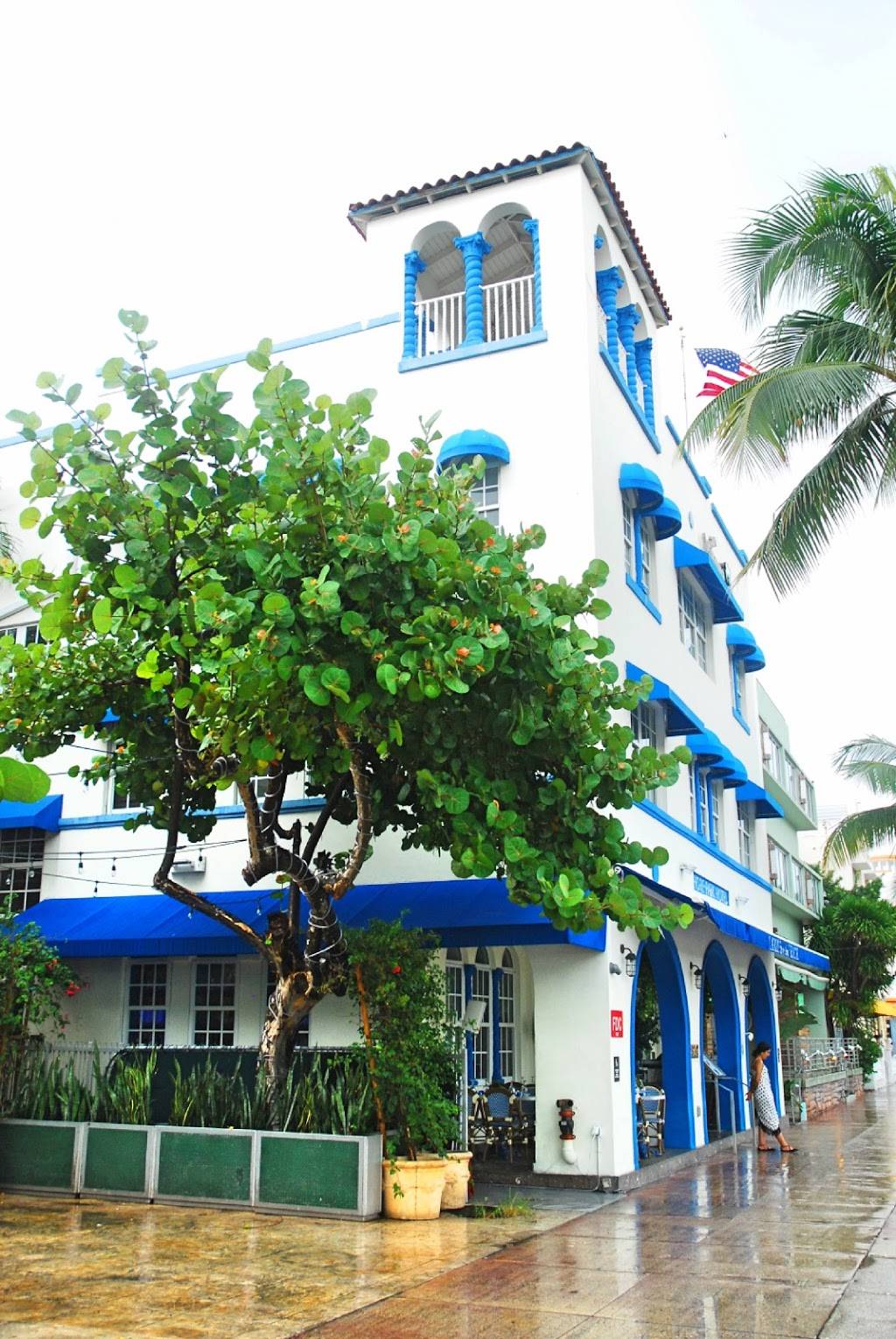 Starlite Cafe | restaurant | 750 Ocean Dr, Miami Beach, FL 33139, USA | 3055342161 OR +1 305-534-2161