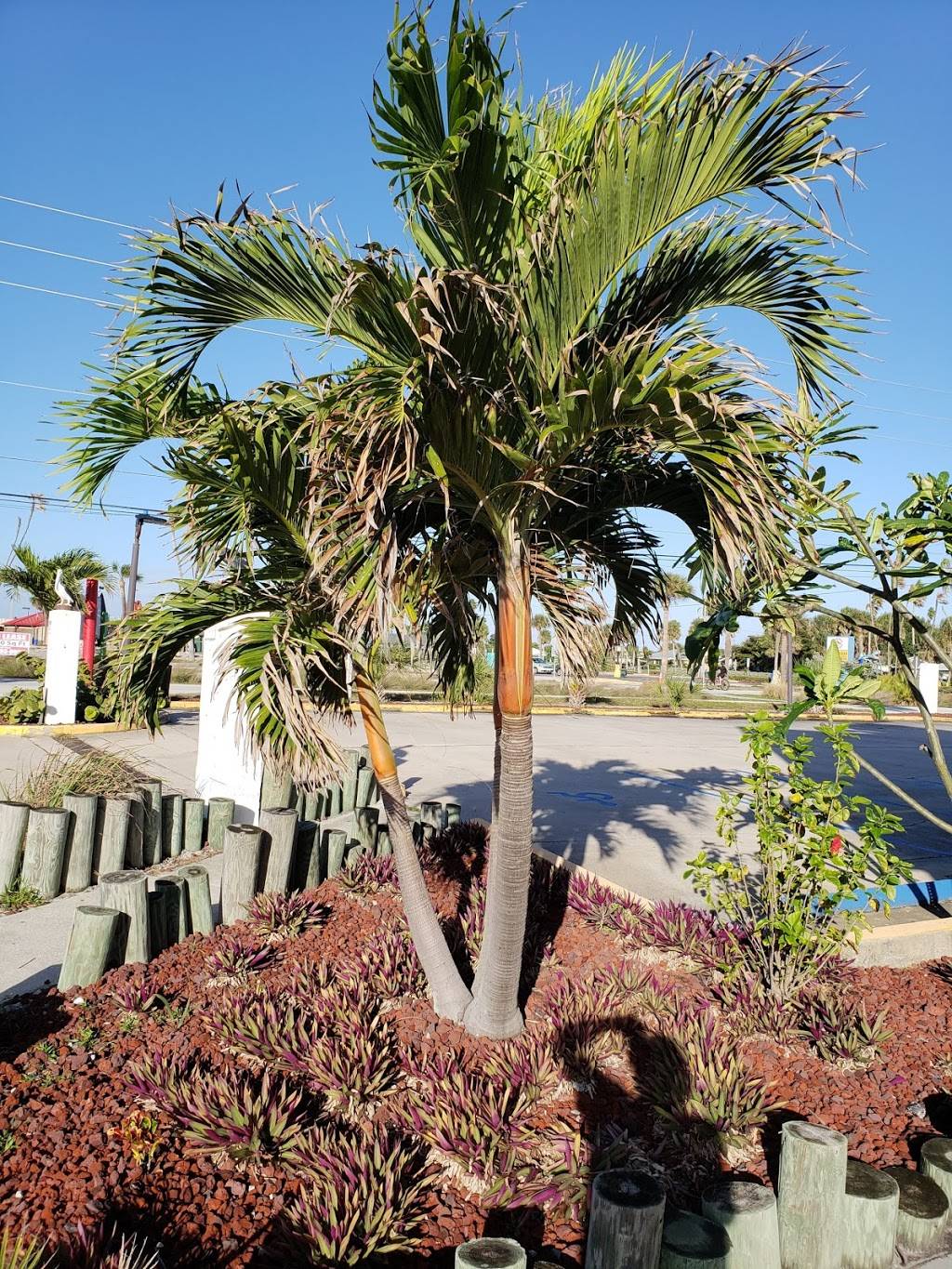 Captain Js | meal takeaway | 211 E Cocoa Beach Causeway, Cocoa Beach, FL 32931, USA | 3217831313 OR +1 321-783-1313