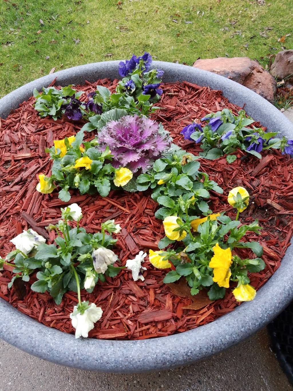 Sonic Drive-In | restaurant | 6130 N Jupiter Rd, Garland, TX 75044, USA | 9724964356 OR +1 972-496-4356