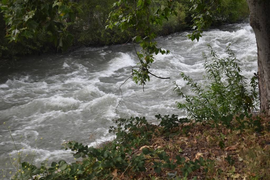 River View Restaurant & Lounge | restaurant | 42323 Sierra Dr, Three Rivers, CA 93271, USA | 5595612211 OR +1 559-561-2211