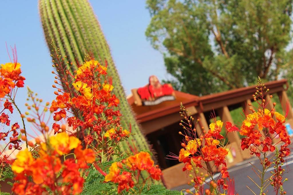 Tortillas Mi Pueblito | restaurant | 706 AZ-77, Mammoth, AZ 85618, USA | 5204872123 OR +1 520-487-2123