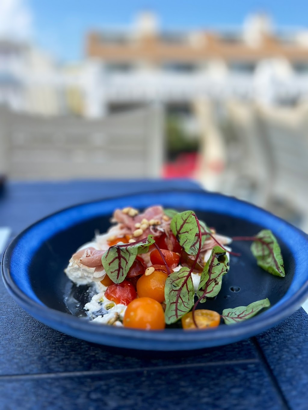 Starboard Claw | restaurant | 1818 Coastal Hwy, Dewey Beach, DE 19971, USA | 3025502529 OR +1 302-550-2529