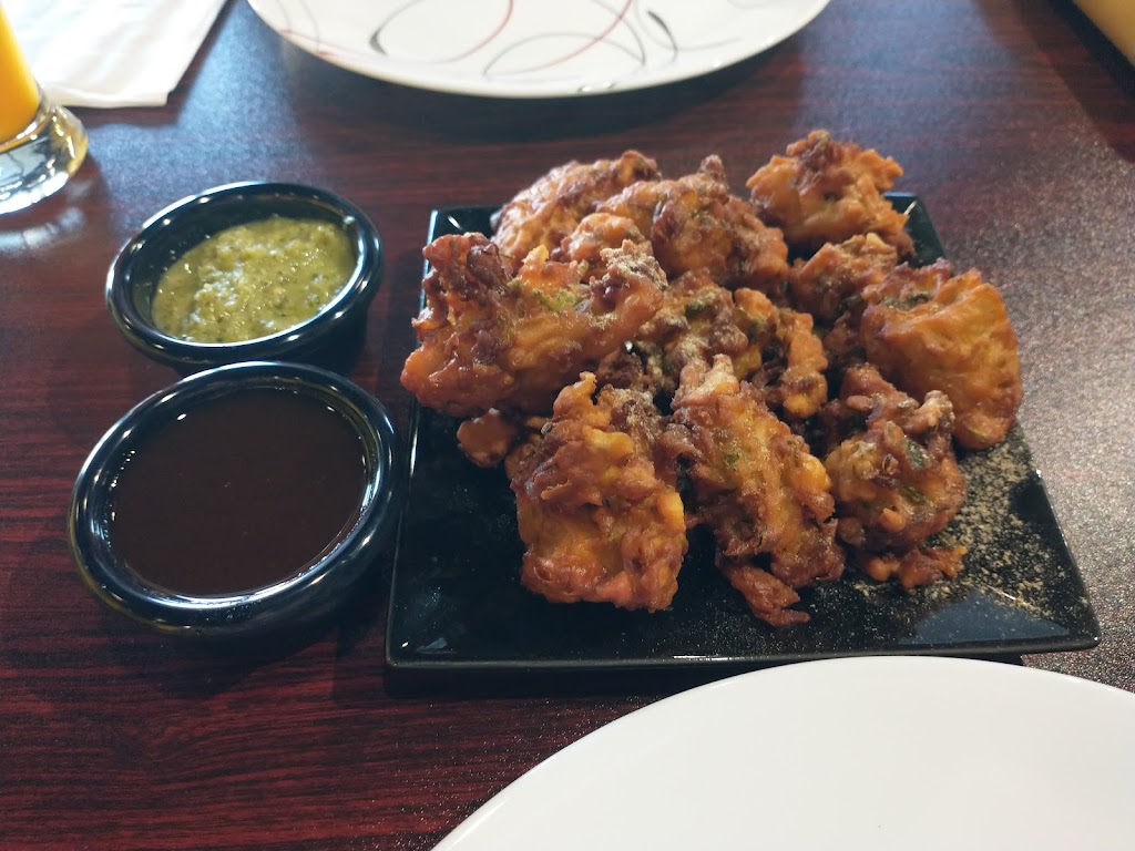 Punjabi Soul | restaurant | 3855 E 96th St Suite G, Indianapolis, IN 46240, USA | 3176690186 OR +1 317-669-0186