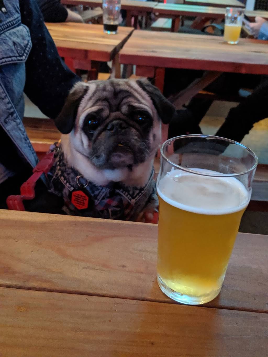 Standard Deviant Brewing | restaurant | 280 14th St, San Francisco, CA 94103, USA | 4155902550 OR +1 415-590-2550