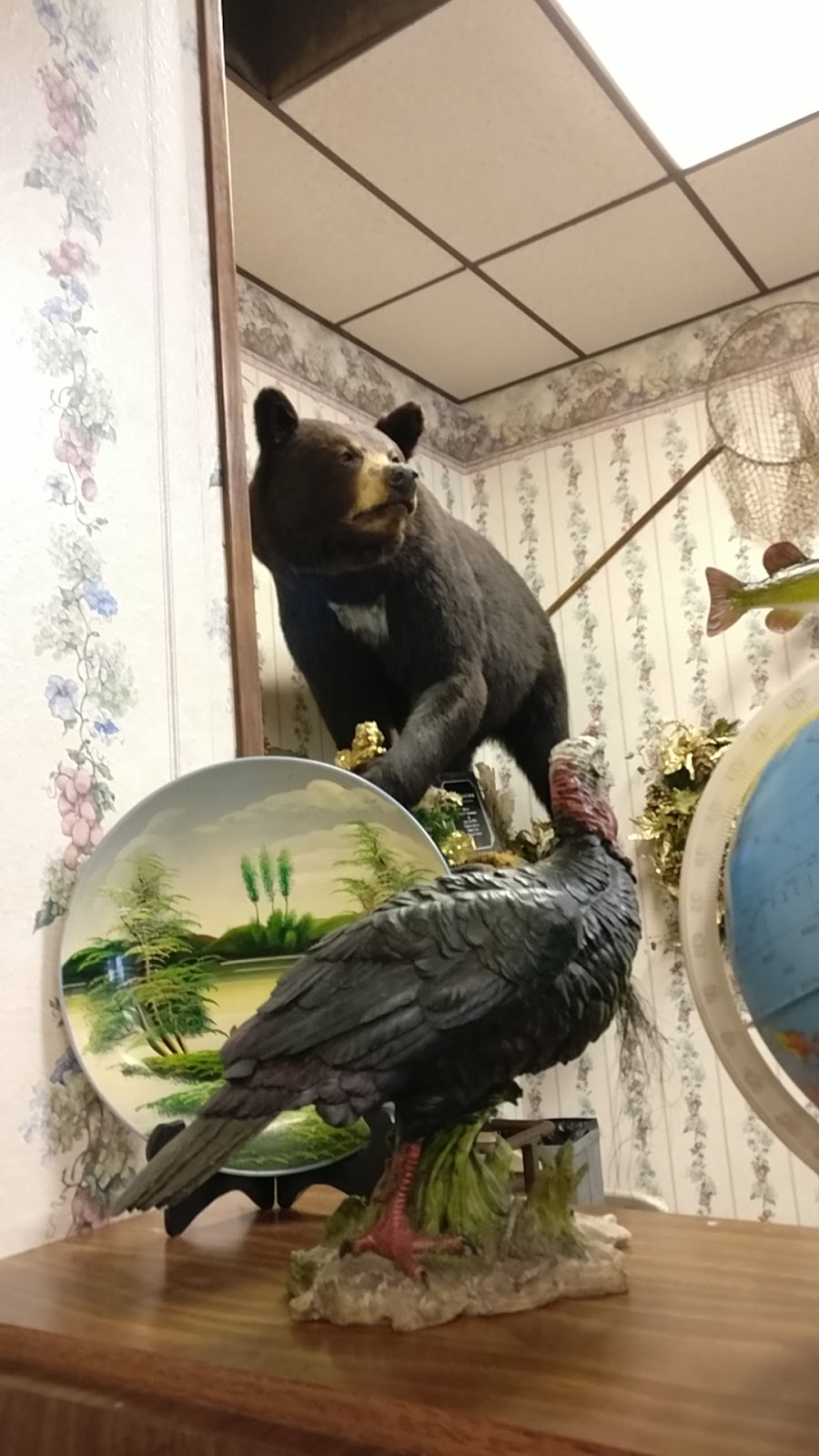 Greenwood Cafe | cafe | 906 Superior Ave, Tomah, WI 54660, USA | 6083724181 OR +1 608-372-4181