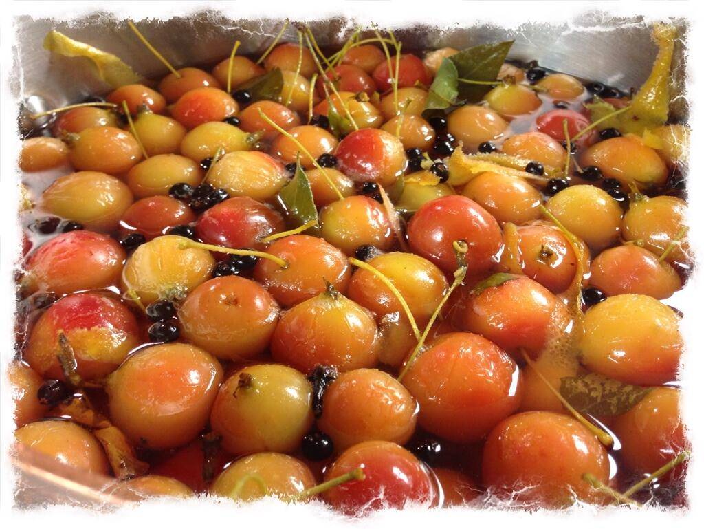 Zula Restaurant & Wine Bar | night club | 1400 Race St, Cincinnati, OH 45202, USA | 5137449852 OR +1 513-744-9852