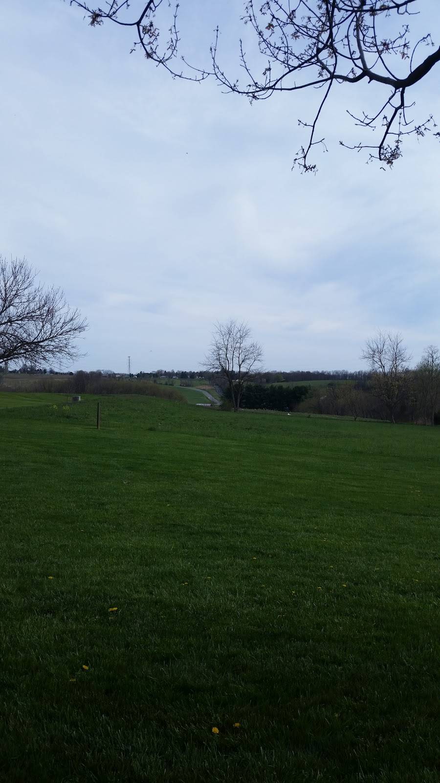 Subway Restaurants | restaurant | 3000 Ventrie Ct., Space No. E, Ventrie Center, Myersville, MD 21773, USA | 3015087097 OR +1 301-508-7097