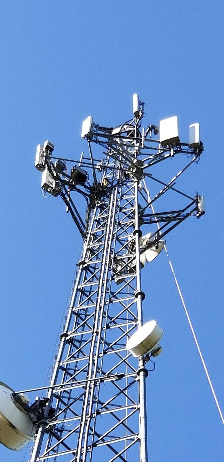 Silers Old Time BBQ | restaurant | 6060 TN-100, Henderson, TN 38340, USA | 7319892242 OR +1 731-989-2242