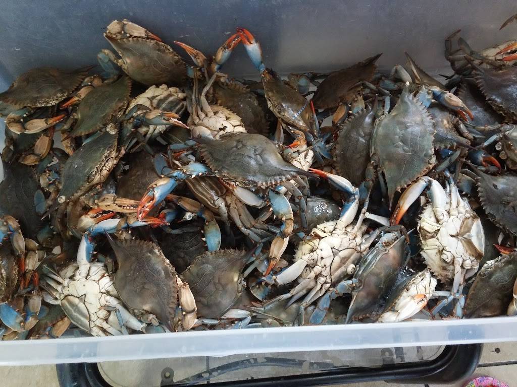 Cajun Crawfish & Seafood | restaurant | 234 Windy Hill Rd SE, Marietta, GA 30060, USA | 7703190345 OR +1 770-319-0345