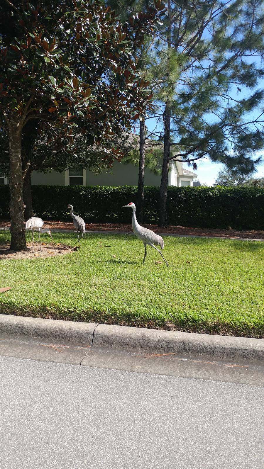 Victoria Hills Golf Club | restaurant | 300 Spalding Way, DeLand, FL 32724, USA | 3867386000 OR +1 386-738-6000