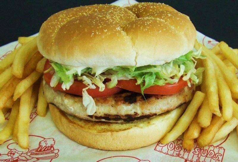 Dog-N-Suds | restaurant | 4454 Dowling St, Montague, MI 49437, USA | 2318944991 OR +1 231-894-4991