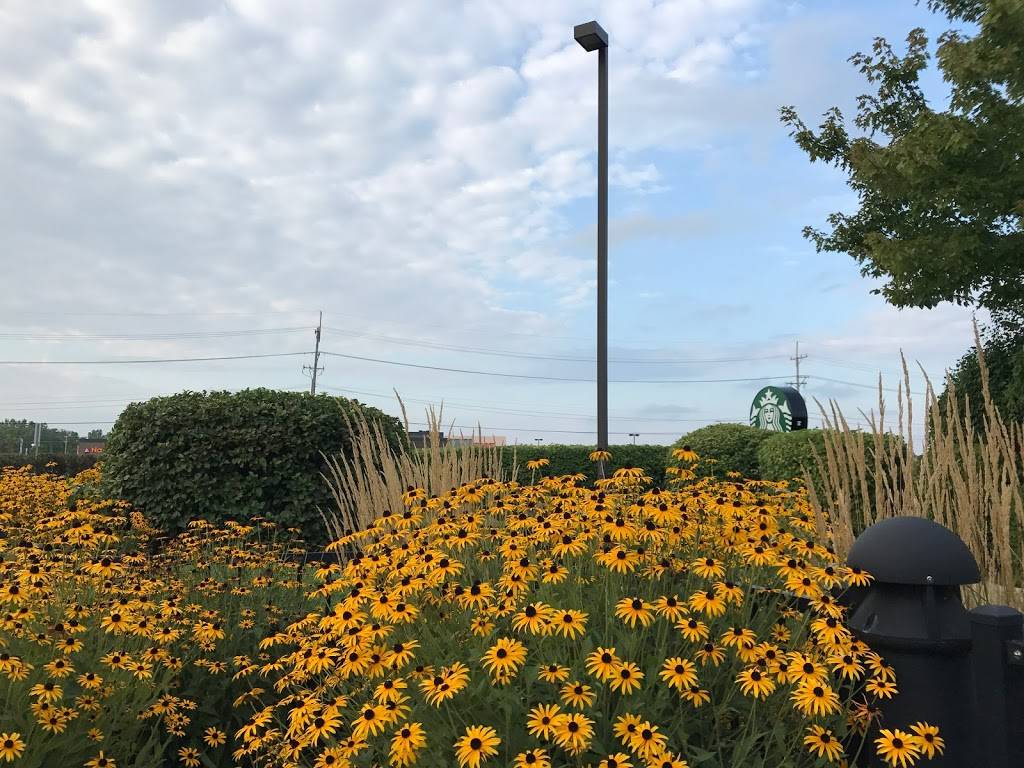 Starbucks | cafe | 2407 W, 22nd St, Oak Brook, IL 60523, USA | 6303681091 OR +1 630-368-1091