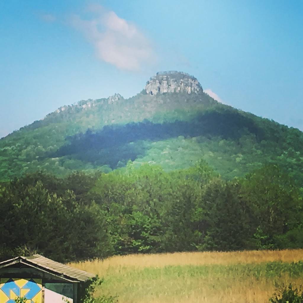 E Js Restaurant | restaurant | 1424 Perch Rd, Pinnacle, NC 27043, USA | 3363689581 OR +1 336-368-9581