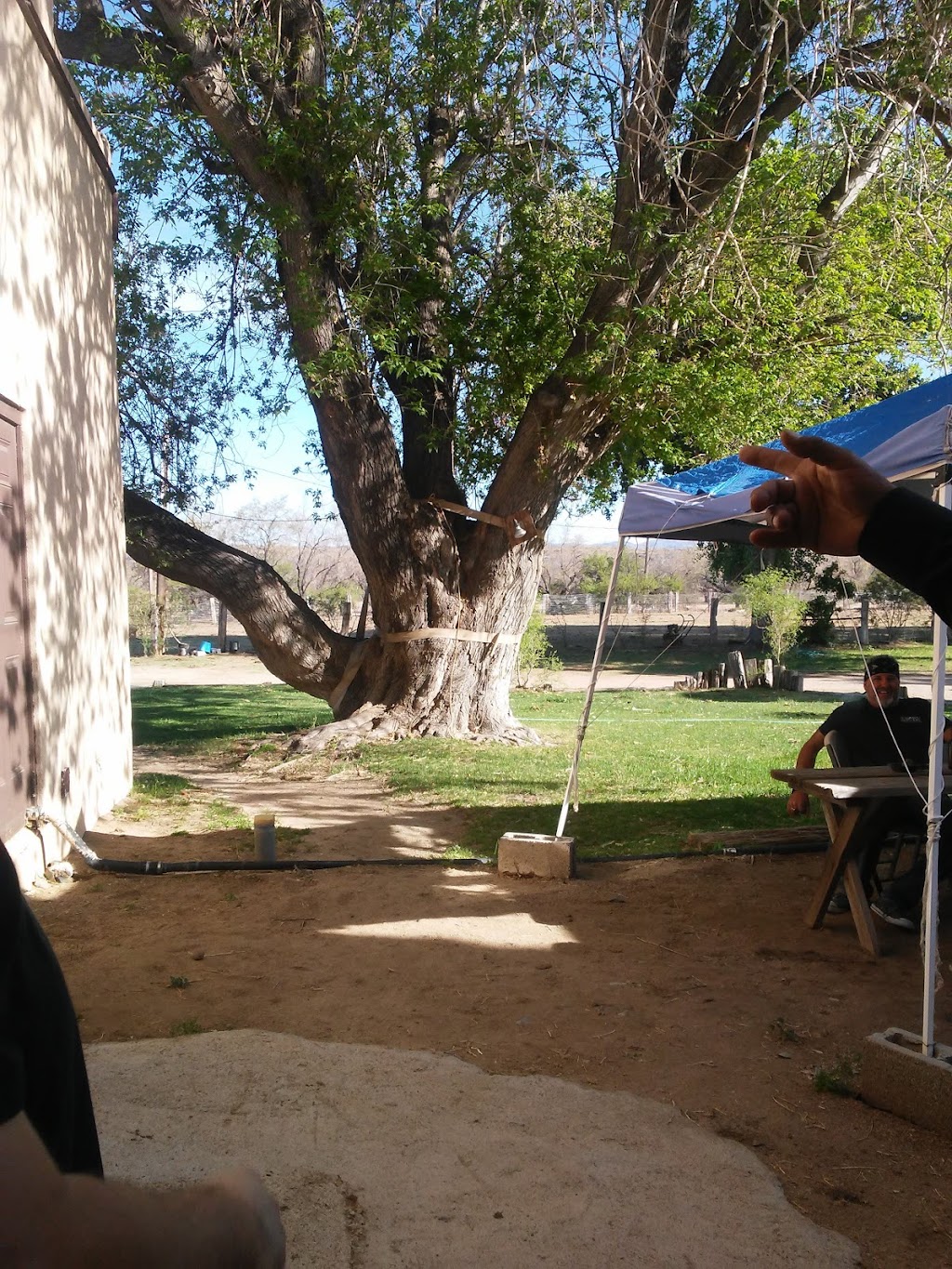 Kirkland Bar & Steakhouse | restaurant | 8985 Iron Springs Rd, Kirkland, AZ 86332, USA | 9284423408 OR +1 928-442-3408