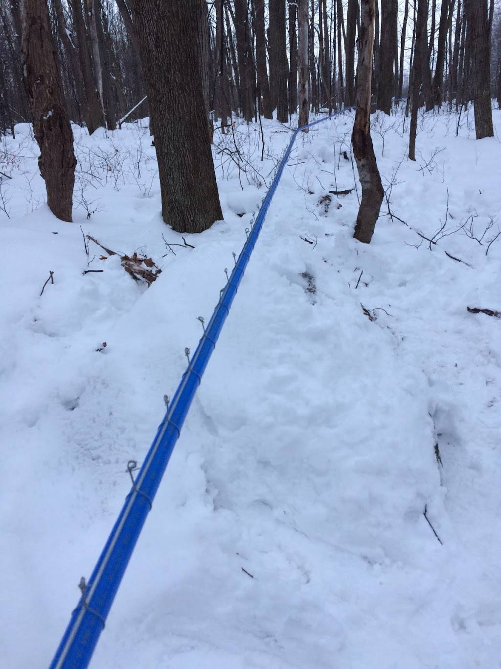 Greenlane Maple | restaurant | 2875 Greenlane east, East Hawkesbury, ON K6A 2R2, Canada | 6136764035 OR +1 613-676-4035