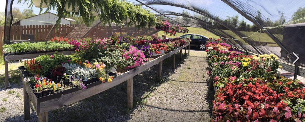 Harbisons Country Market | restaurant | IL-34, Herod, IL 62947, USA | 6182642091 OR +1 618-264-2091