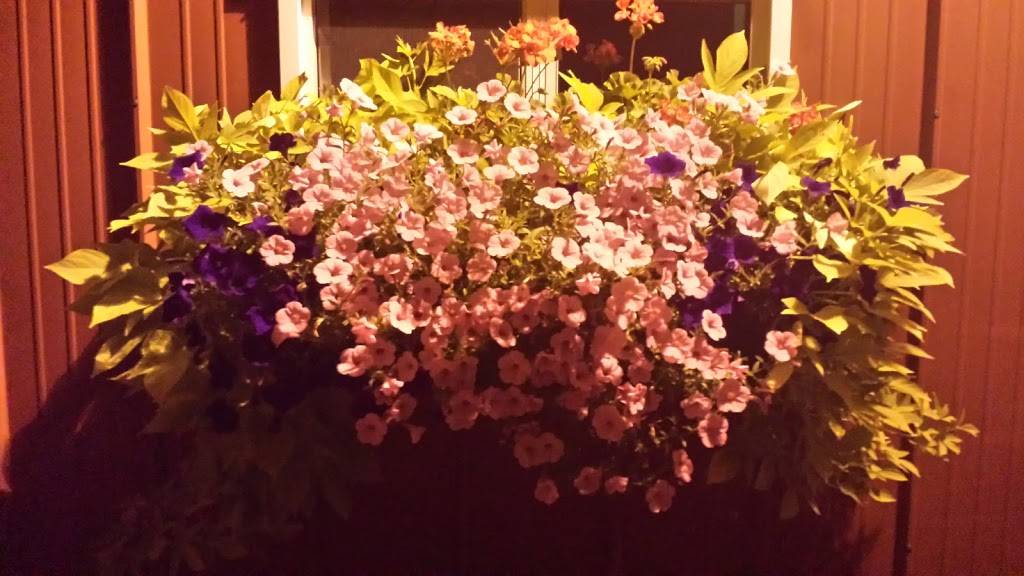 Piccos Pit Bar-B-Que & Steakhouse | restaurant | 310 W Division, Norris, IL 61553, USA | 3096470178 OR +1 309-647-0178