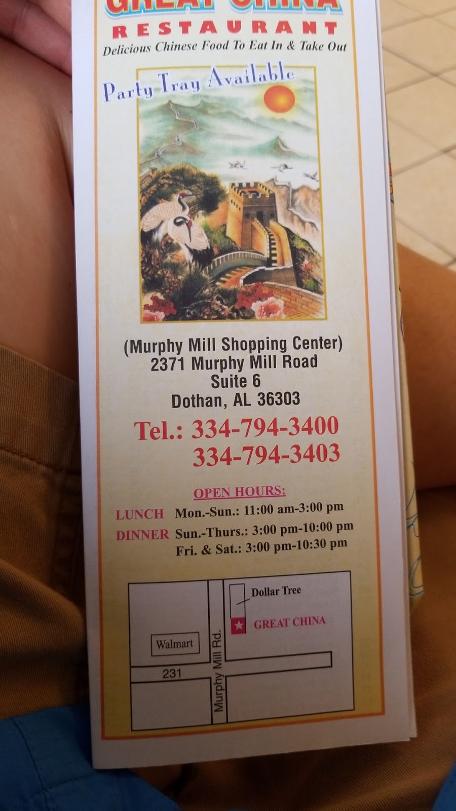 Great China | restaurant | 2371 Murphy Mill Rd #6, Dothan, AL 36303, USA | 3347943400 OR +1 334-794-3400