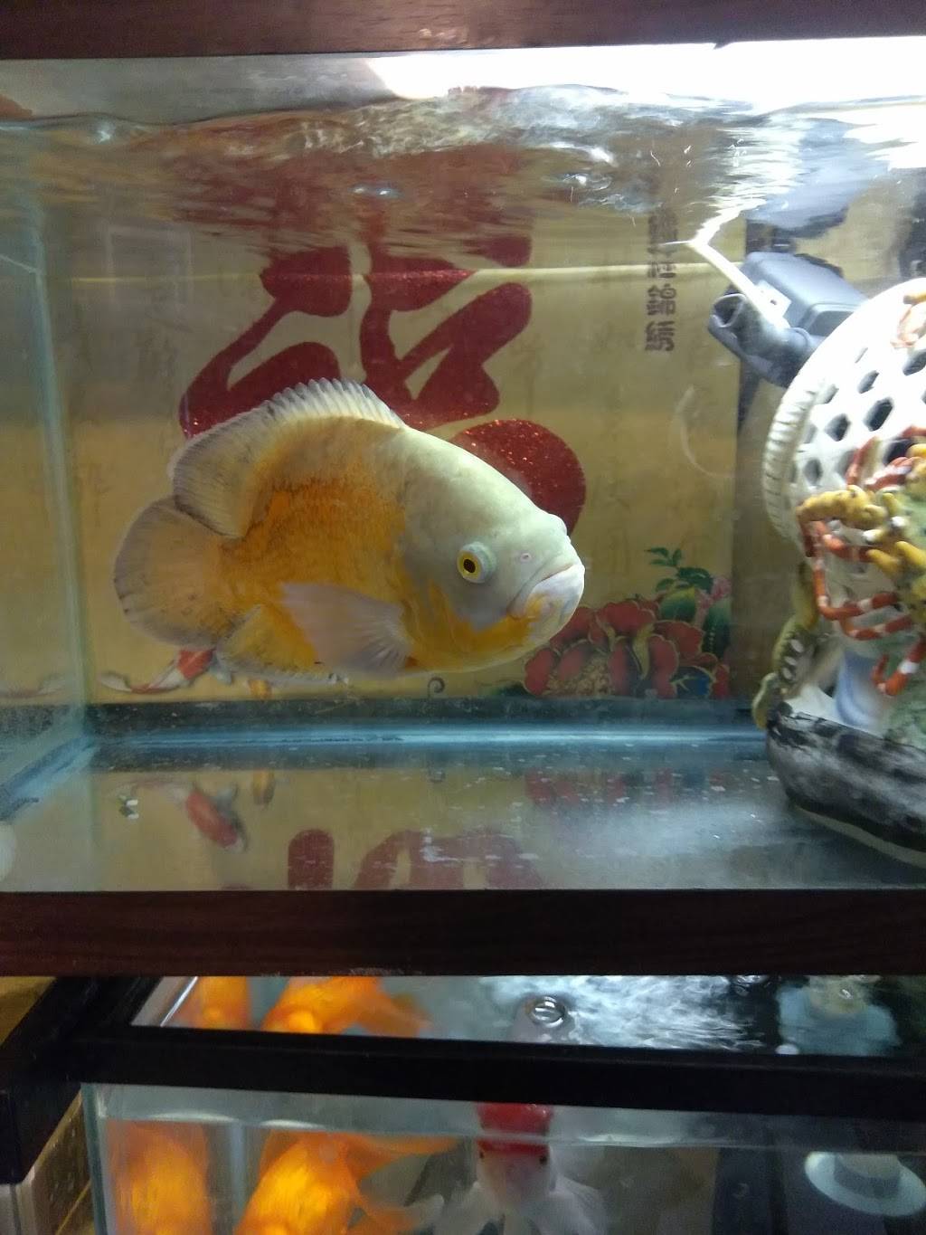 Sing Yee Restaurant | restaurant | 379 Turnpike St, South Easton, MA 02375, USA | 5082389881 OR +1 508-238-9881