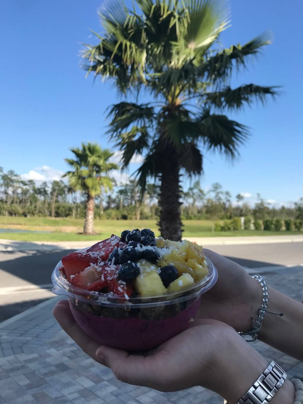 Frutta Bowls Fort Myers | restaurant | 19901 Ben Hill Griffin Pkwy, Fort Myers, FL 33913, USA | 2392020908 OR +1 239-202-0908