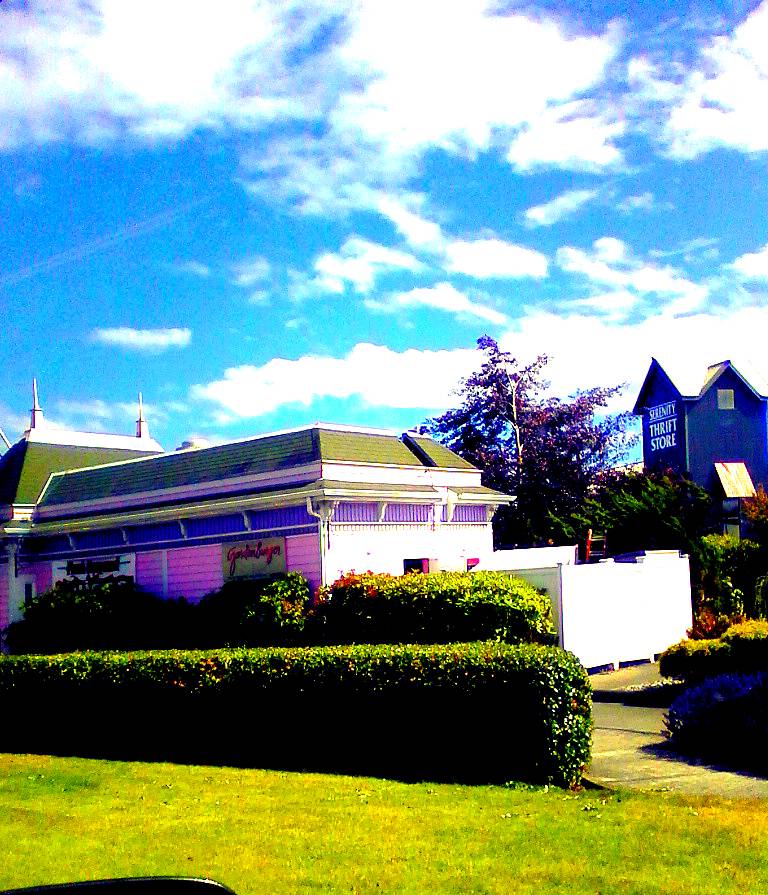 Tootsies | restaurant | 537 W Washington St, Sequim, WA 98382, USA | 3606839524 OR +1 360-683-9524